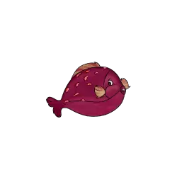 Pinke Kurzfinne